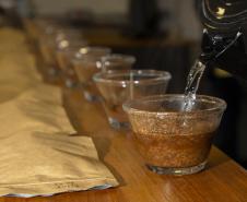 Com apoio do Tecpar, empreendedores vão produzir água para cafés especiais